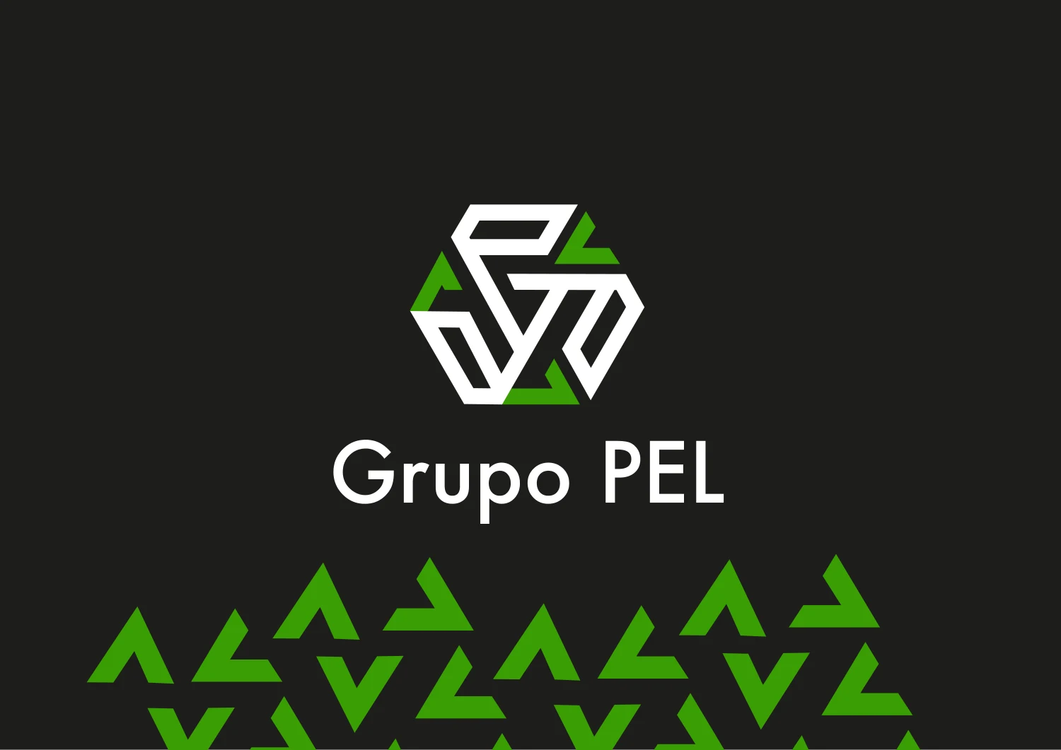 Grupo PEL · Apresentação da identidade visual