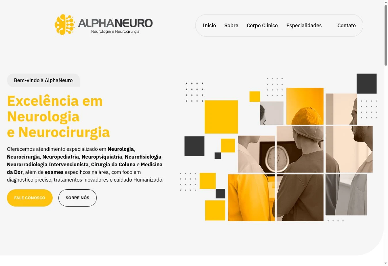Home do site AlphaNeuro em notebook